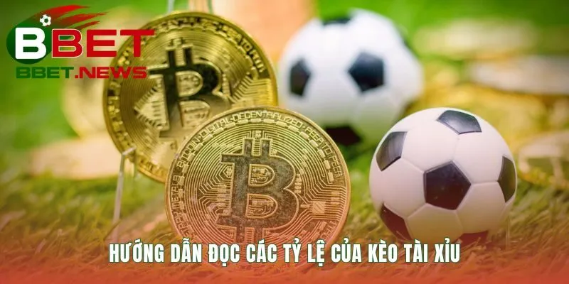 Giải mã các con số thập phân phức tạp