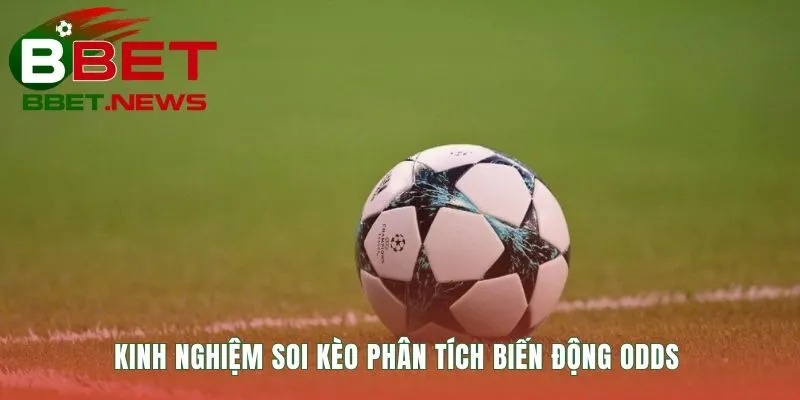 Cách soi kèo bóng đá qua biến động odds hé lộ ý đồ nhà cái